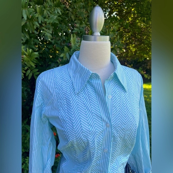 TALBOTS- Aqua Blue & White Button Down Shirt - Picture 6 of 7
